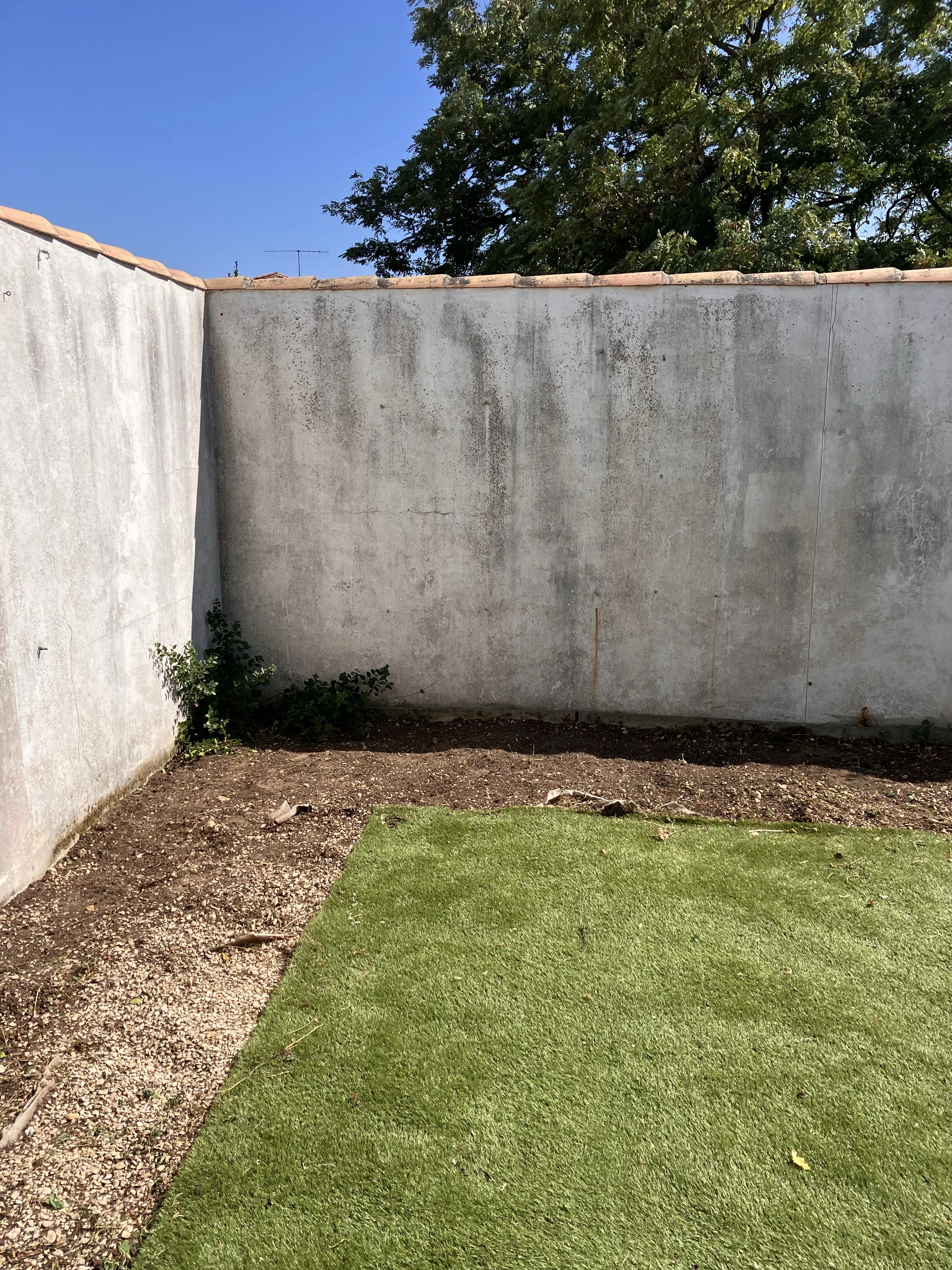 Bordure nette jardinier l'ile de ré