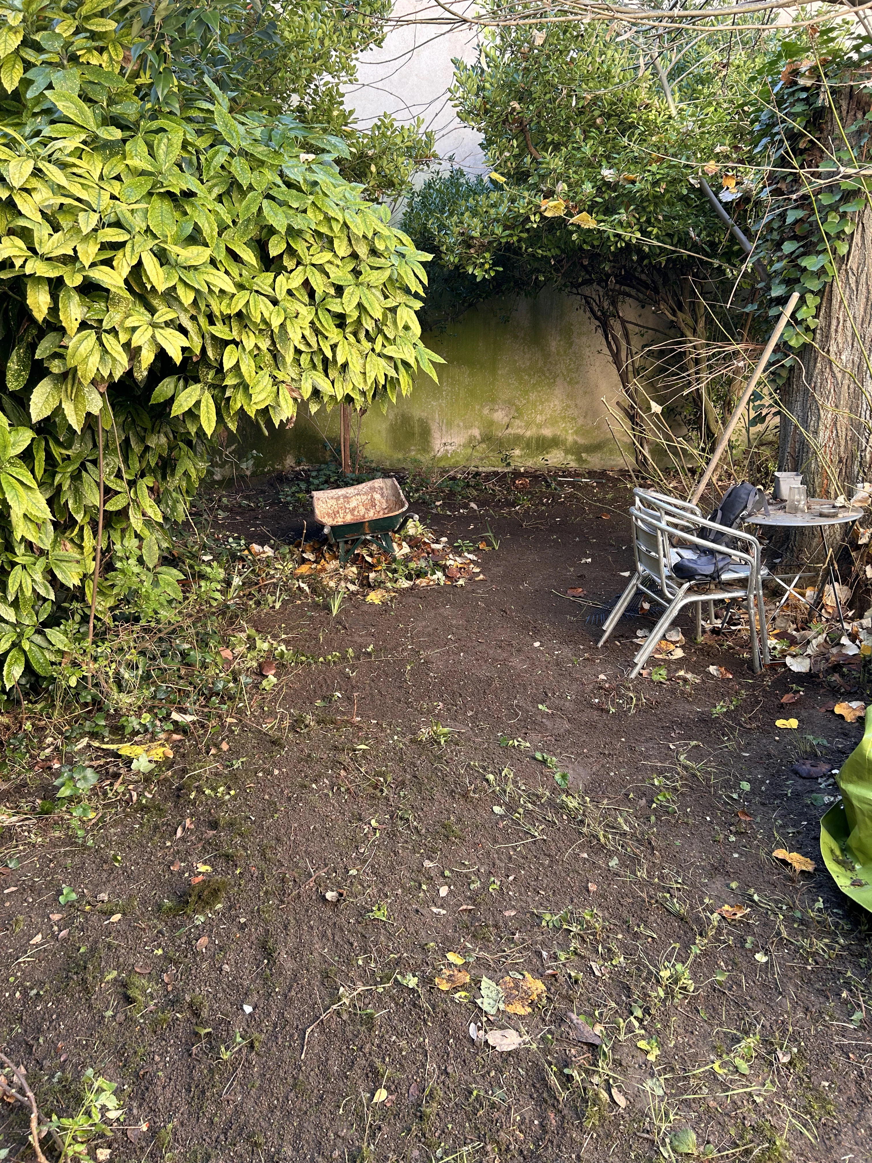 Remise en état professionnel jardin