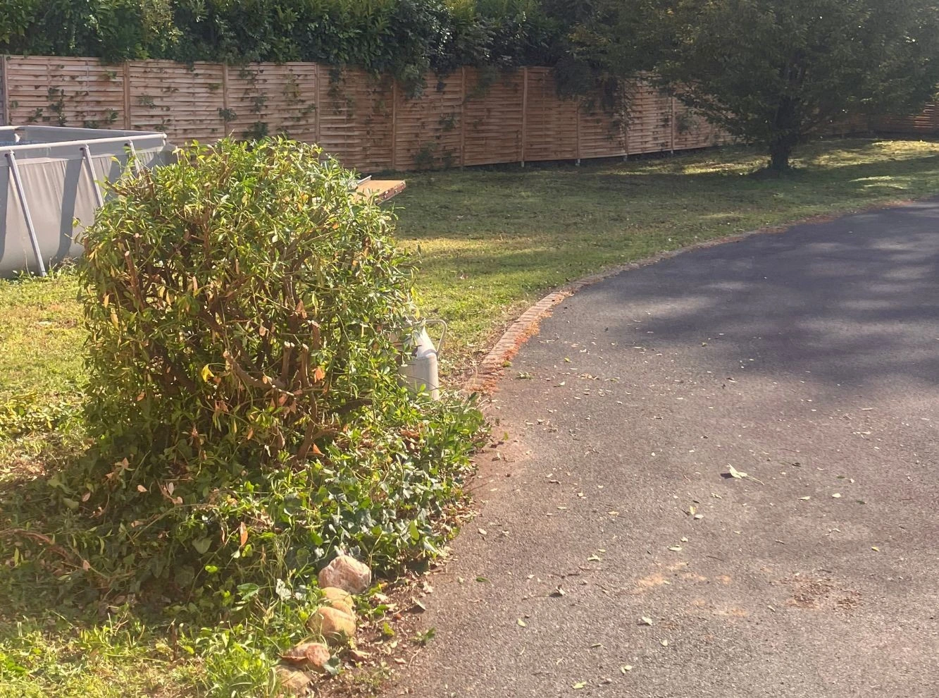 Taille arbuste jardinerie rochelaise