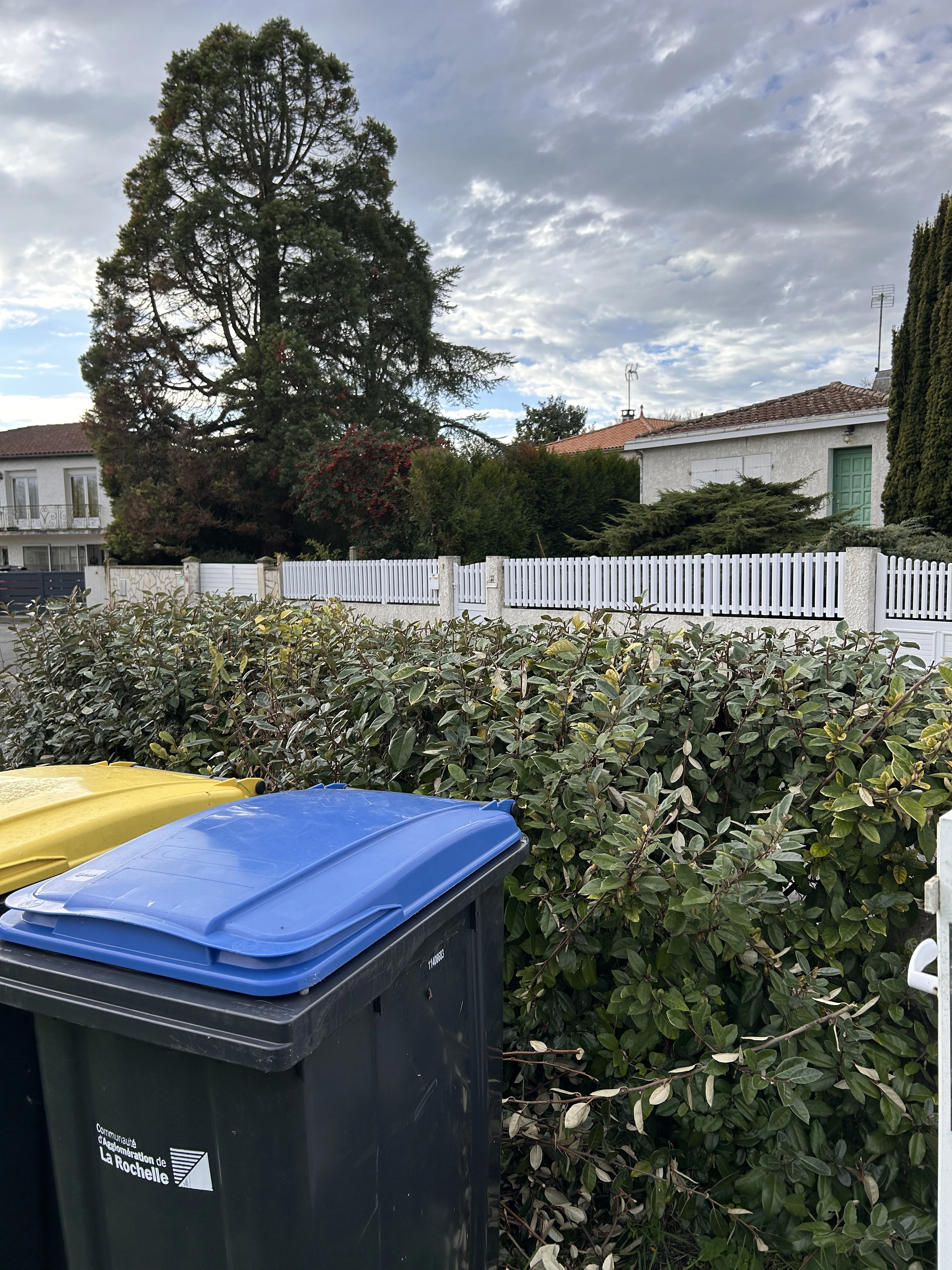 Taille de haie droite jardinerie rochelaise